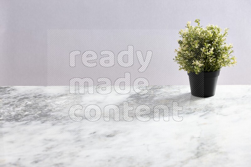 Artificial plant in black pot on grey marble background