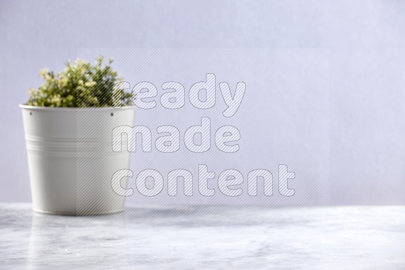 Artificial Plant in White pot (out of focus background) on Light Grey Marble Flooring 15 degree angle