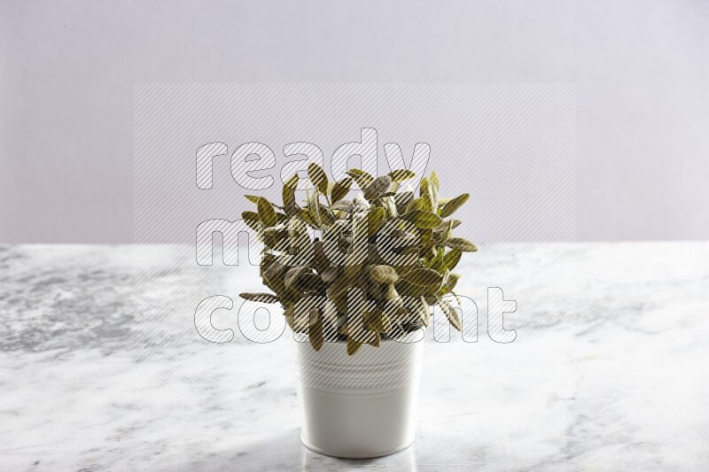 Green artificial plant in white pot on light grey marble background