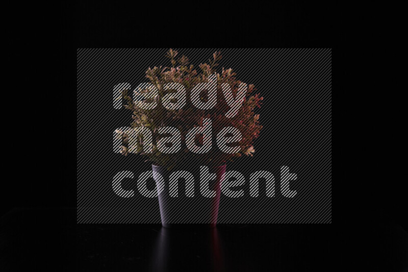 Plastic potted plant with colored rim light against black background