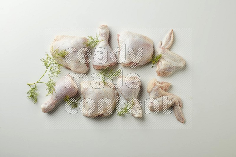Mixed fresh chicken pieces direct on a white background