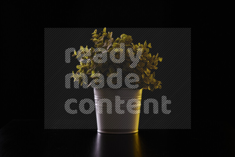 Plastic potted plant with colored rim light against black background