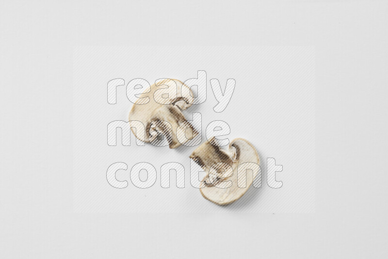 Mushrooms on white background