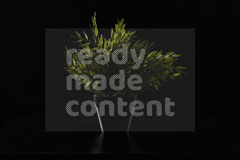 Plastic potted plant with rim light against black background