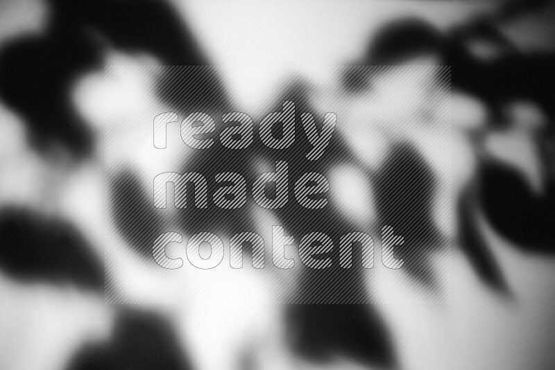 A delicate gobo light projects the silhouette of plant leaves onto a smooth surface