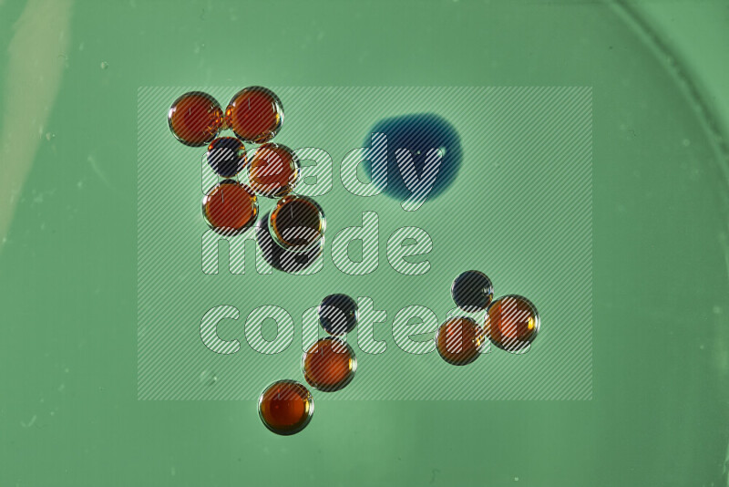Close-ups of abstract red and blue watercolor drops on oil Surface on green background