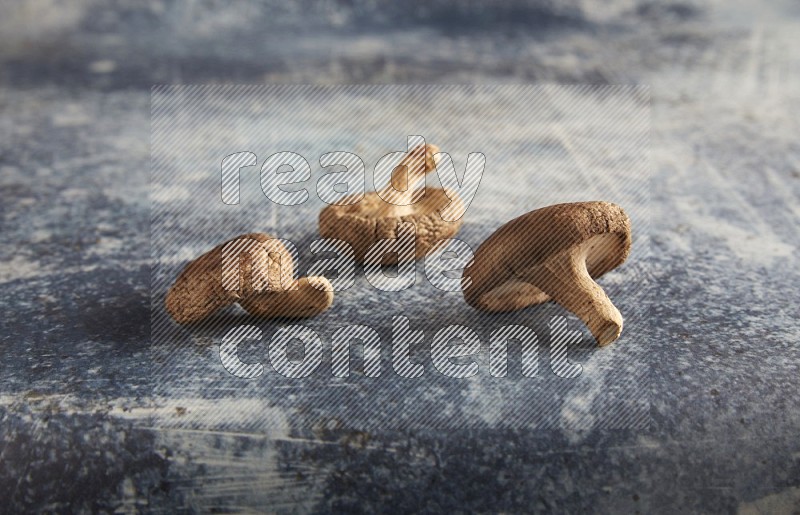45 degre shiitake mushrooms on a textured rustic blue background