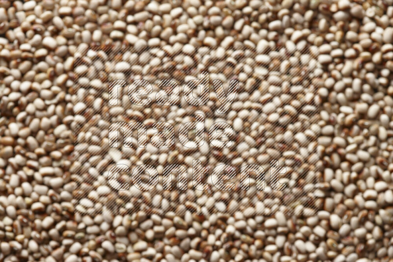 حبوب اللوبياء خارج إطار التركيز علي الخلفية كاملة