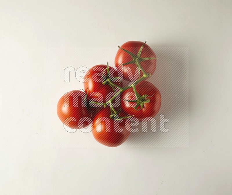 big tomato vein topview on a white background