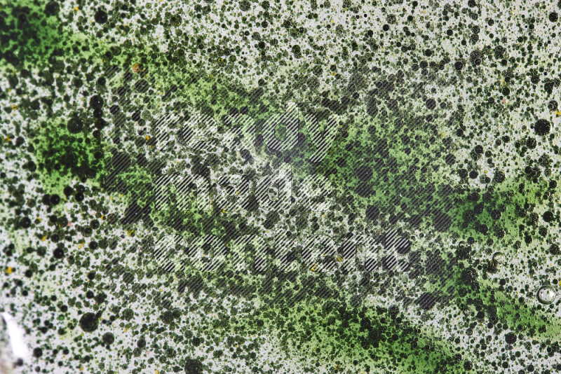 Close-ups of abstract green watercolor drops on oil Surface on white background