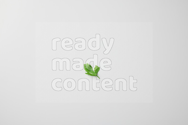 أوراق البقدونس الطازجة المتناثرة على خلفية بيضاء