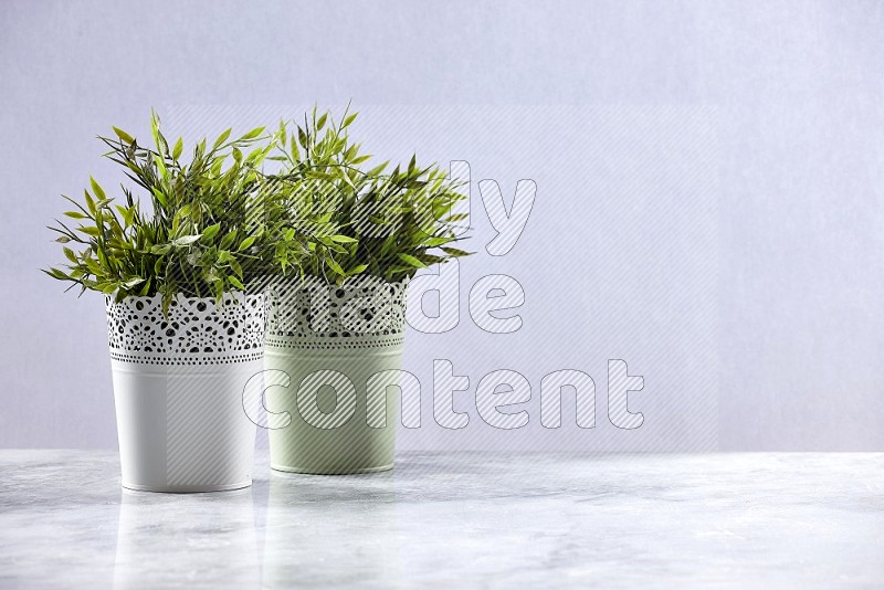 Two Artificial Plants in decorative pots on Light Grey Marble Flooring 15 degree angle