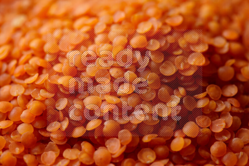 Lentils on white background