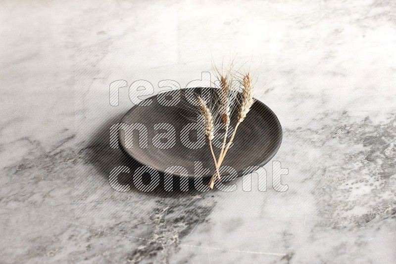 Wheat stalks on Black Pottery Plate on grey marble flooring, 45 degree angle