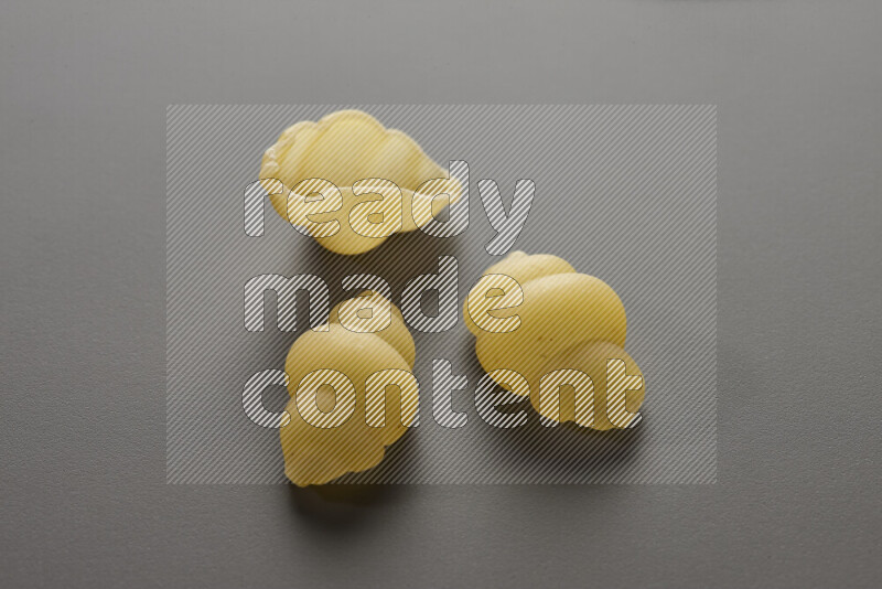 Snails pasta on grey background
