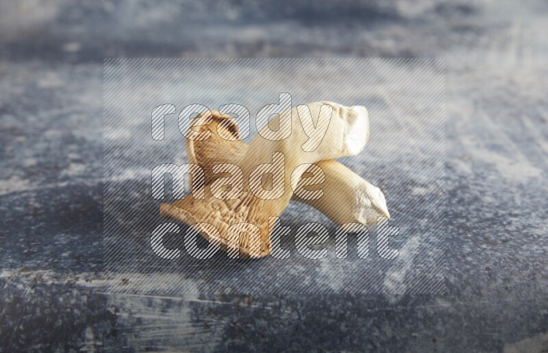 45 degre king oysters mushrooms on a textured rustic blue background