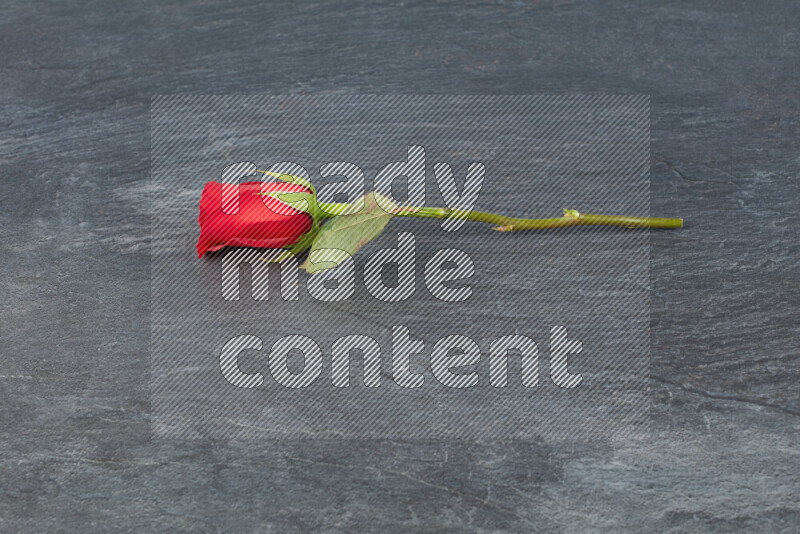 A single red rose with vibrant green leaves on black marble background