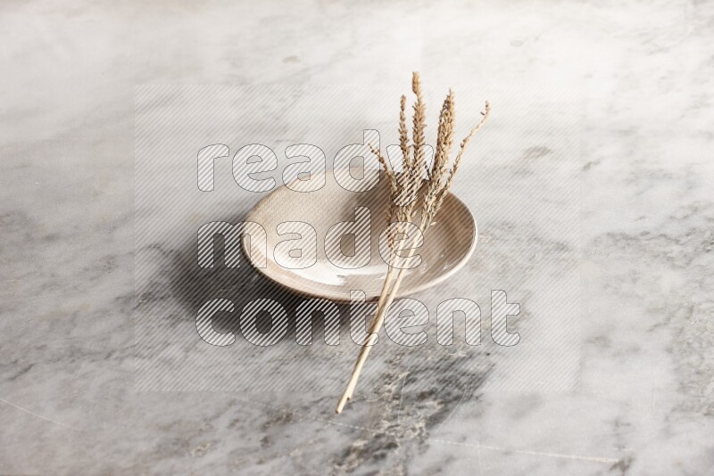 Wheat stalks on Beige Pottery Plate on grey marble flooring, 45 degree angel
