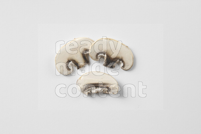 Mushrooms on white background