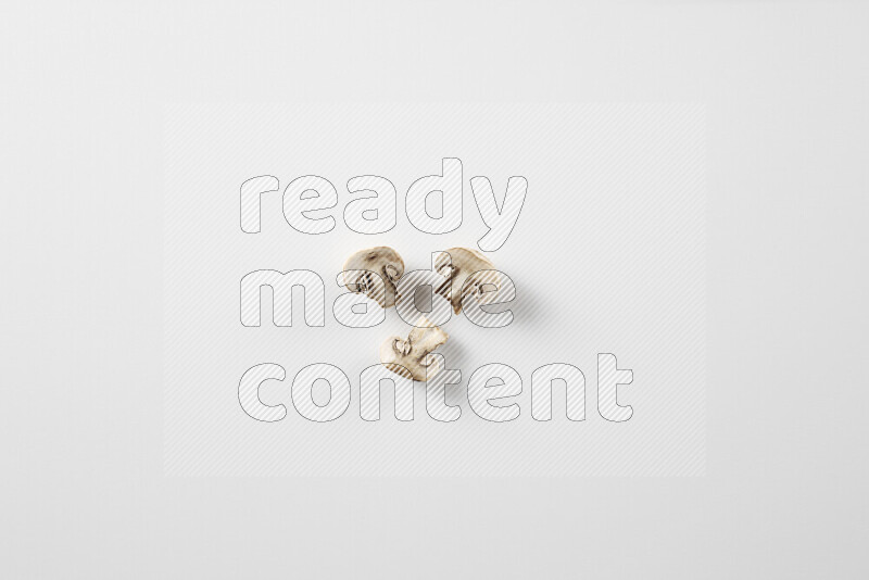 Mushrooms on white background