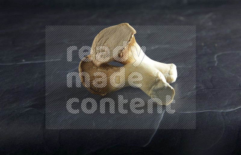 45 degre king oysters mushrooms on a textured black slate background