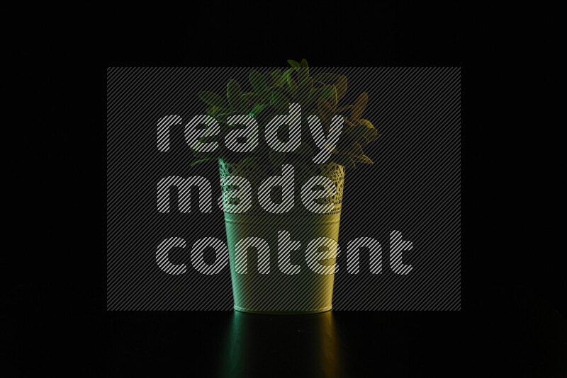 Plastic potted plant with colored rim light against black background