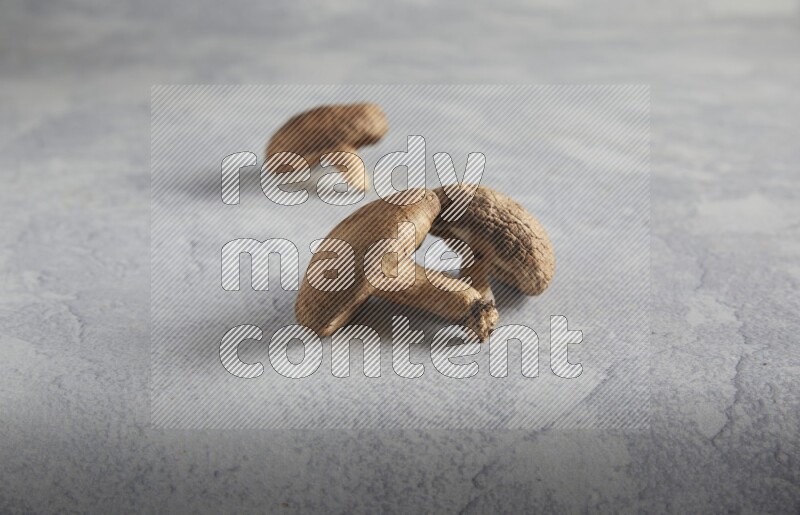 45 degre shiitake mushrooms on a textured light blue  background