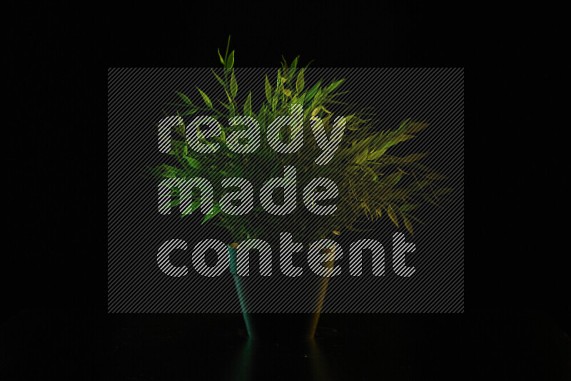 Plastic potted plant with colored rim light against black background