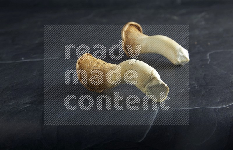 45 degre king oysters mushrooms on a textured black slate background