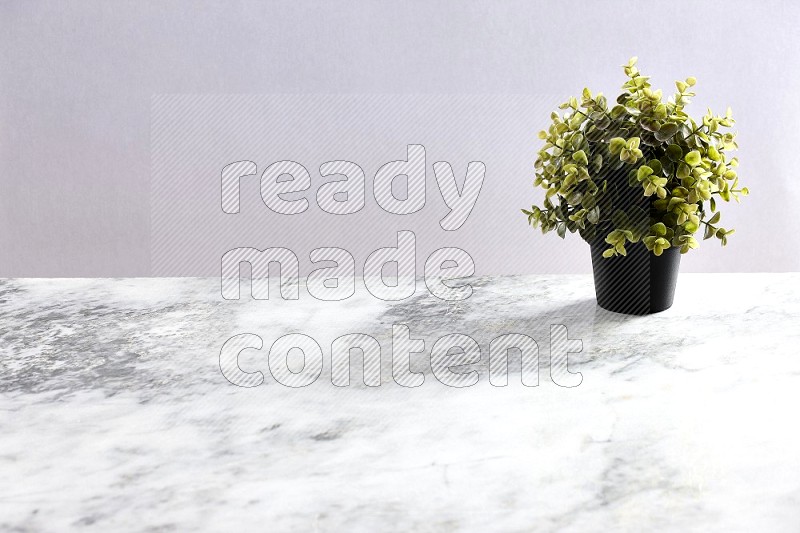 Artificial Plant in black pot on Light Grey Marble Background 45 degree angle