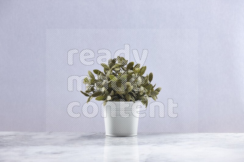Green artificial plant in white pot on grey marble background