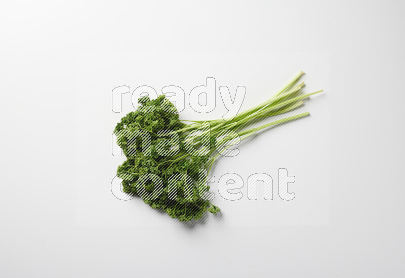 A bunch of fresh curly lettuce sprigs on a white background