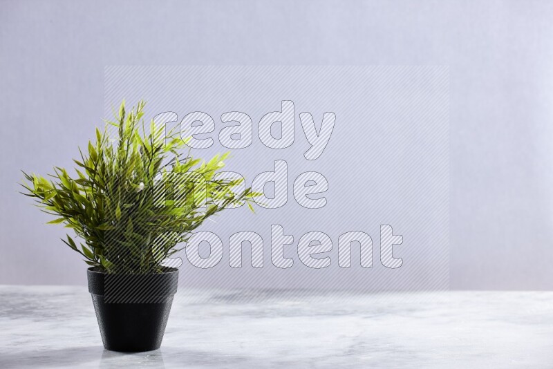 Green artificial plant in black pot on grey marble background