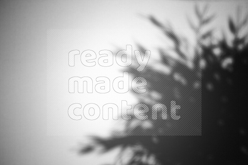 A delicate gobo light projects the silhouette of plant leaves onto a smooth surface